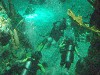 sm_P5056990.JPG