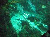 sm_P5056991.JPG
