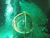 sm_P5056993.JPG