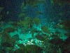 sm_P5056996.JPG