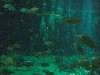 sm_P5056997.JPG