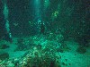 sm_P5056998.JPG