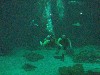 sm_P5057000.JPG