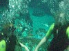 sm_P5057005.JPG