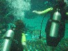 sm_P5057006.JPG