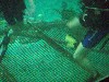 sm_P5057007.JPG