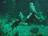 sm_P5057009.JPG