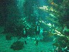 sm_P5057010.JPG