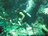 sm_P5057014.JPG
