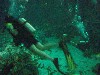 sm_P5057016.JPG