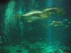 sm_P5057017.JPG