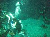 sm_P5057018.JPG
