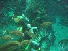 sm_P5057019.JPG