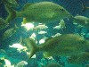 sm_P5057024.JPG