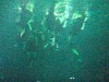 sm_P5057027.JPG
