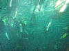 sm_P5057028.JPG