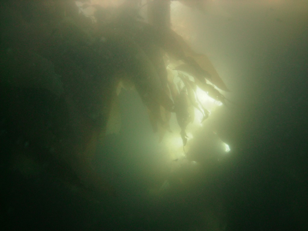sm_PICT0038.JPG