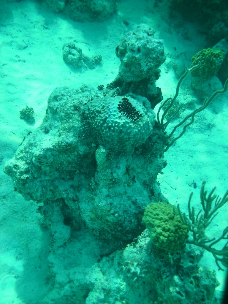 sm_AR_PICT0086.JPG
