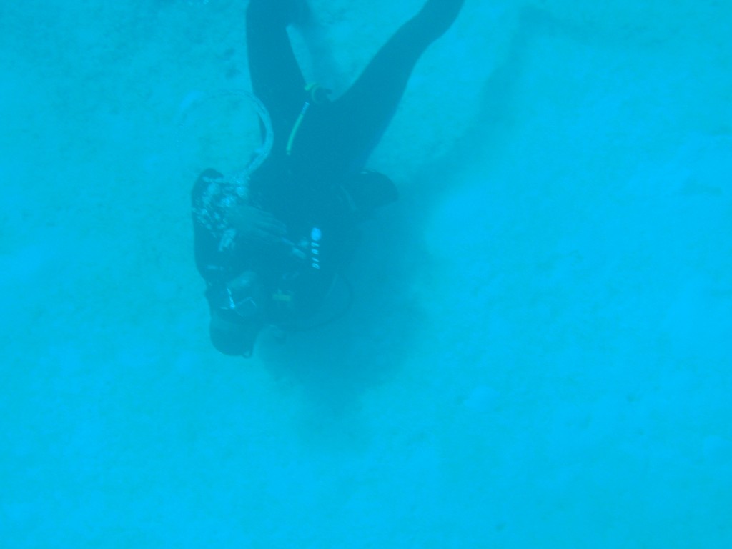 sm_P1082612.JPG