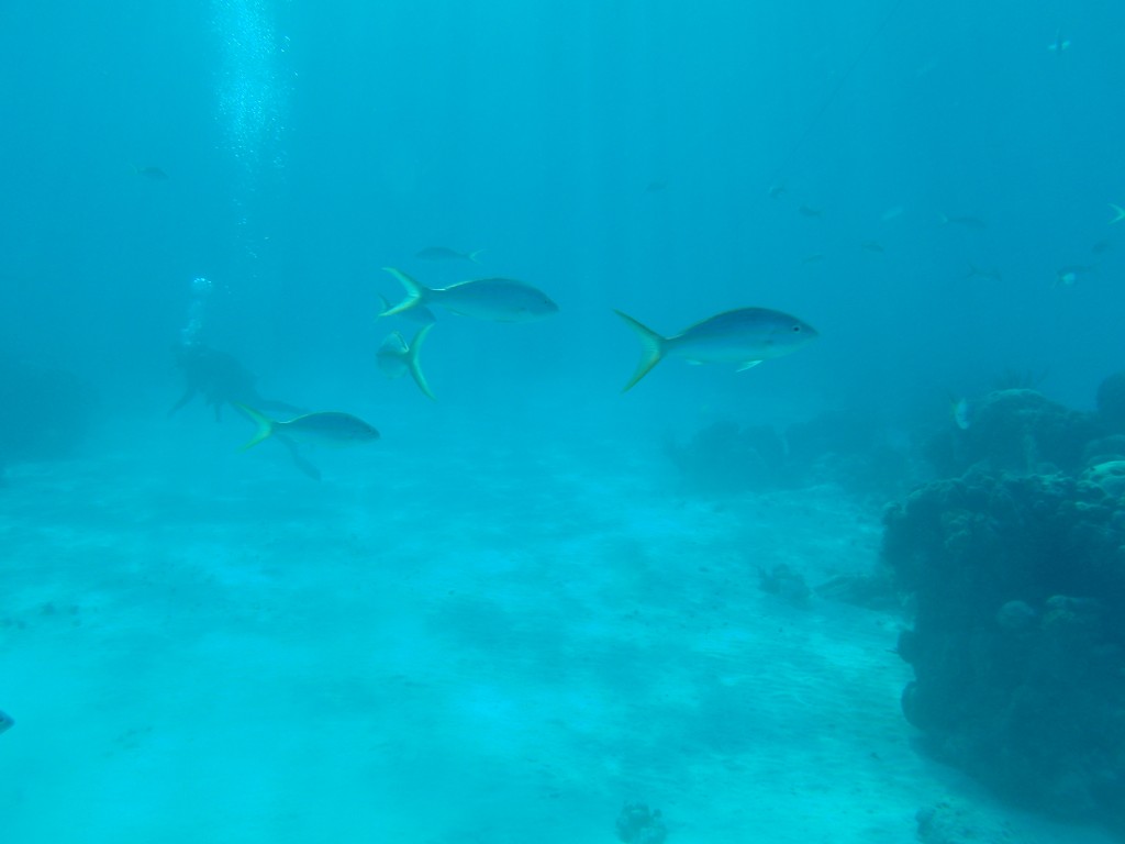 sm_P1082617.JPG