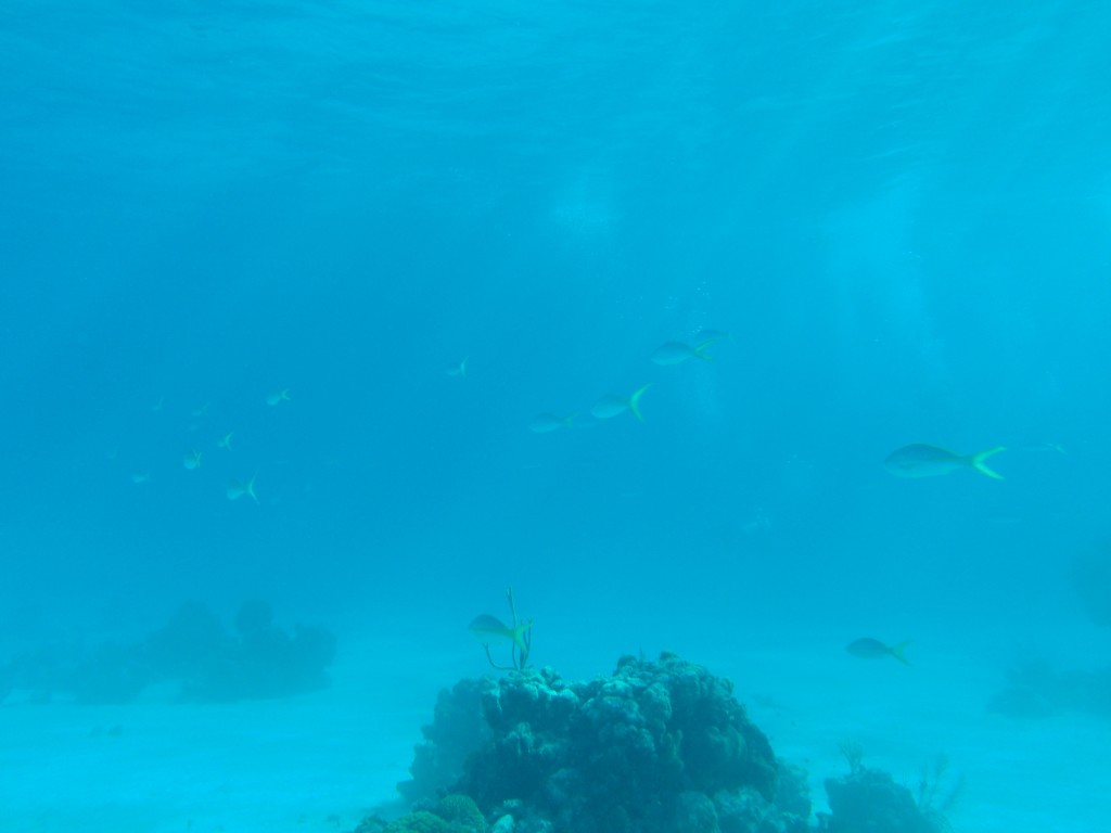 sm_P1082620.JPG