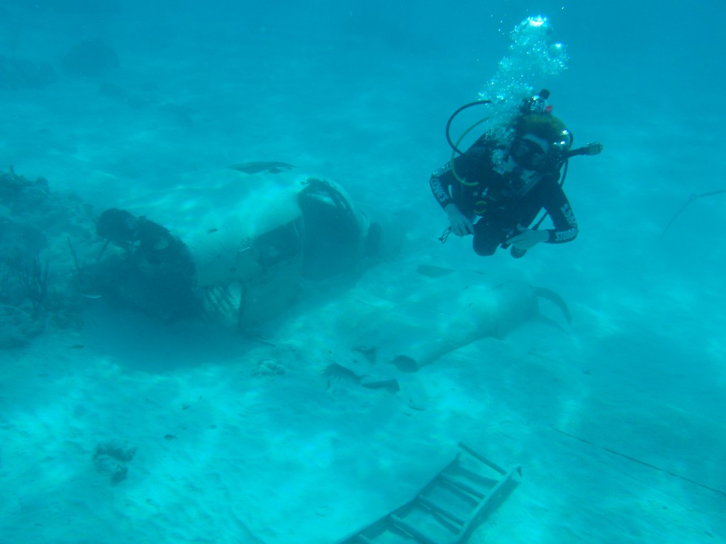 sm_P1082641.JPG