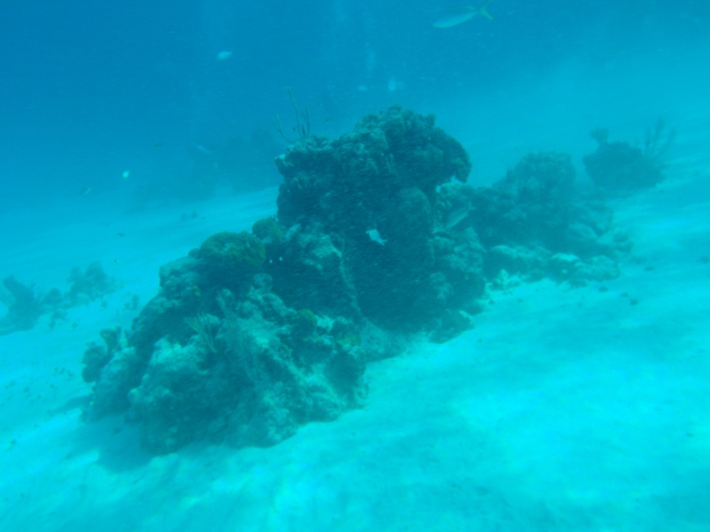 sm_P1082655.JPG