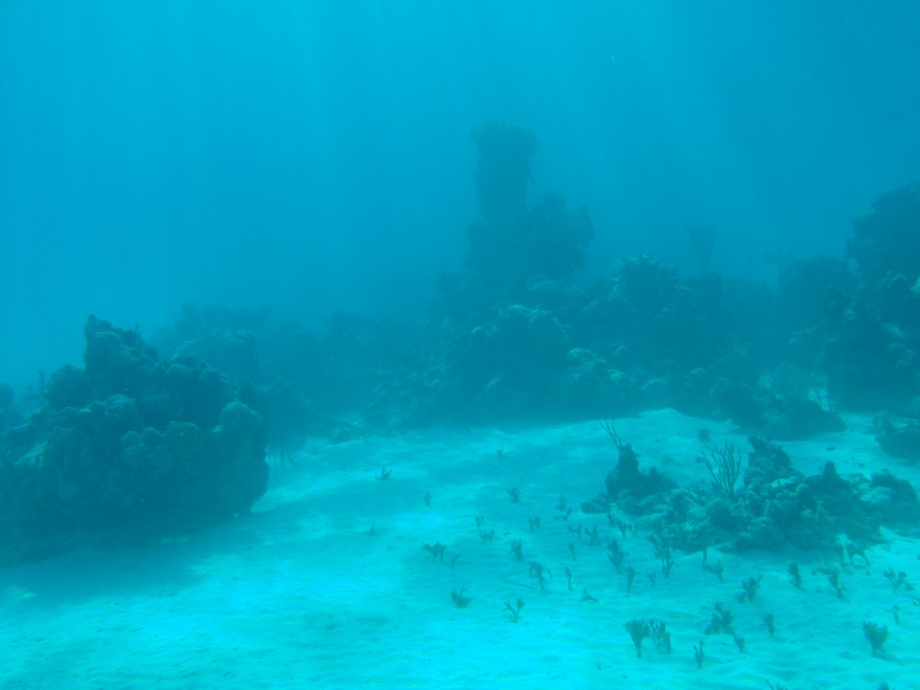 sm_P1082656.JPG