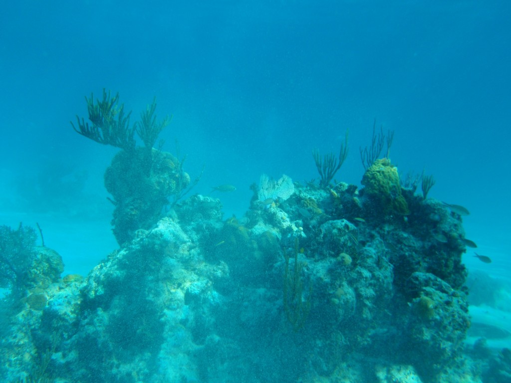 sm_P1082661.JPG