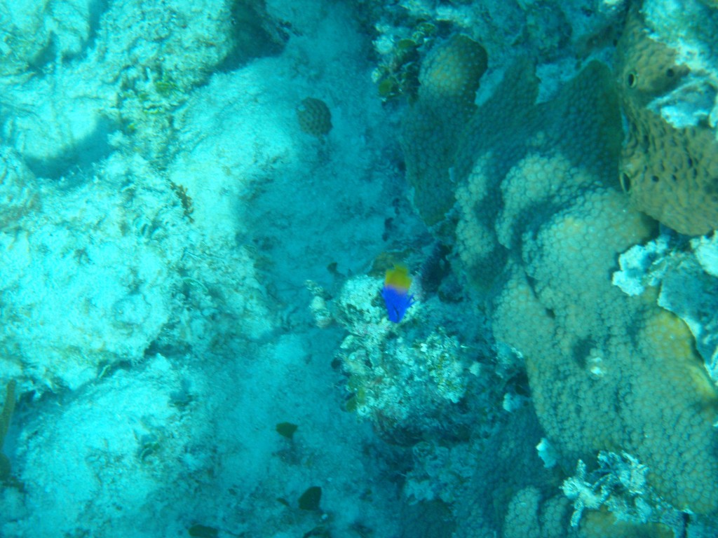 sm_P1082667.JPG