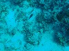 sm_P1082586.JPG