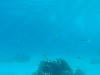 sm_P1082620.JPG