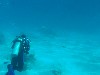 sm_P1082634.JPG