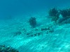 sm_P1082646.JPG