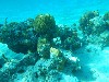 sm_P1082648.JPG