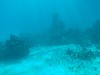 sm_P1082656.JPG