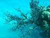 sm_P1082664.JPG