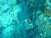 sm_P1082667.JPG