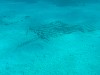 sm_P1082675.JPG