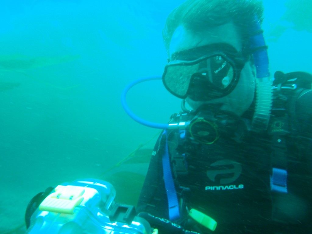 sm_AR-P8213419.JPG