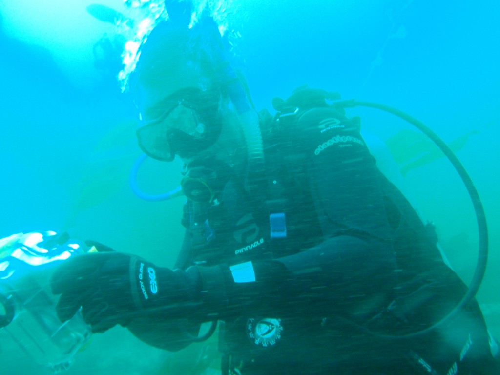 sm_AR-P8213421.JPG
