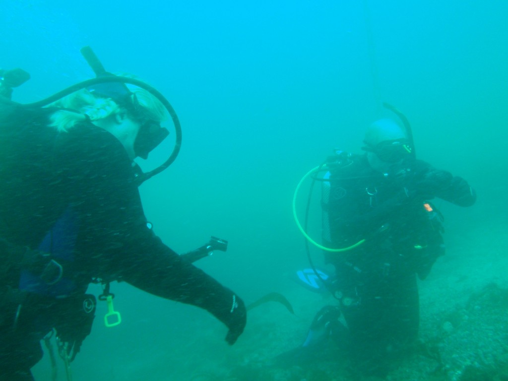 sm_AR-P8213422.JPG