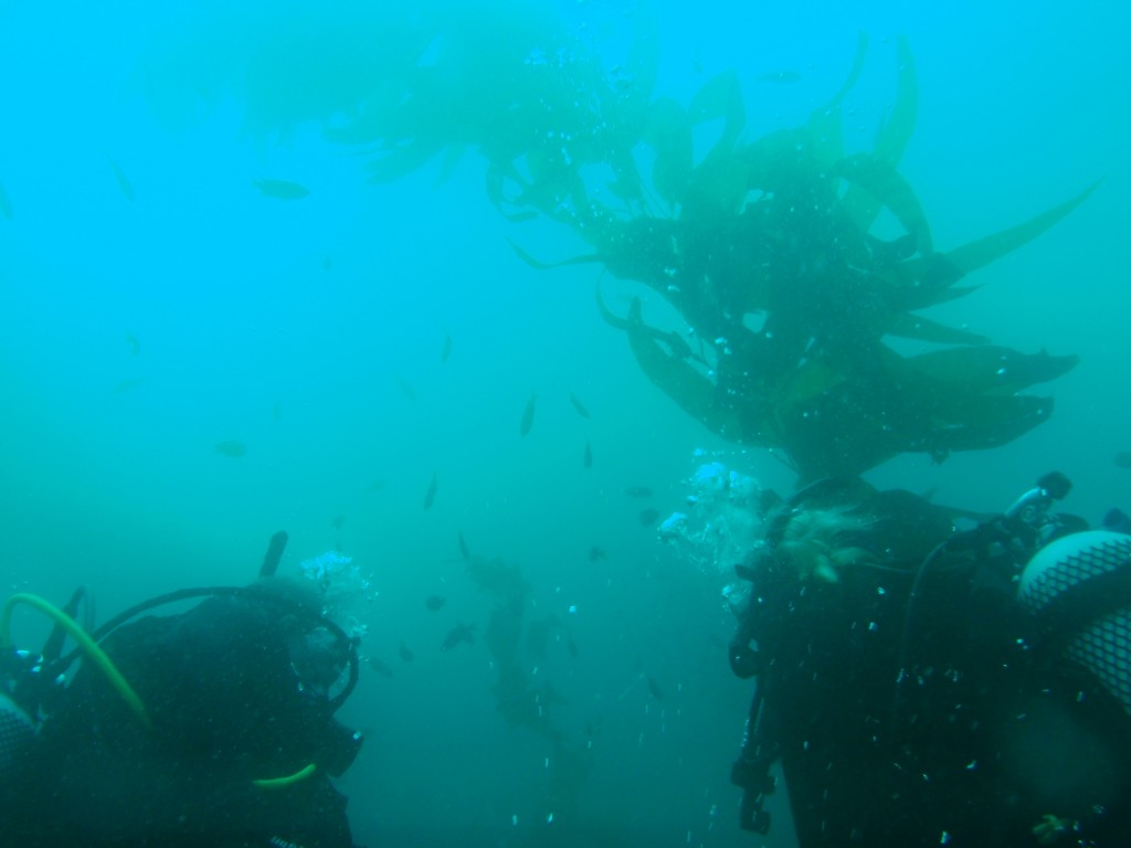 sm_AR-P8213427.JPG