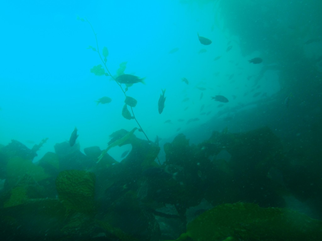 sm_AR-P8213432.JPG