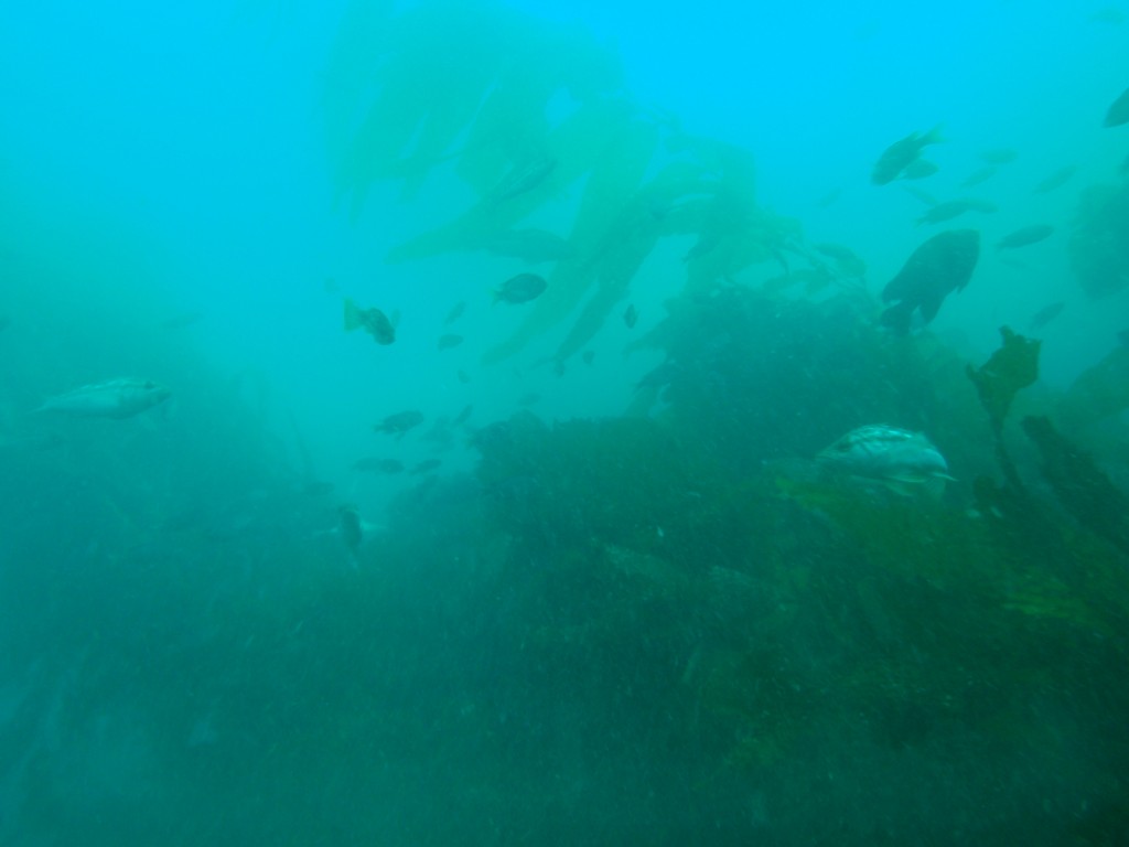 sm_AR-P8213433.JPG