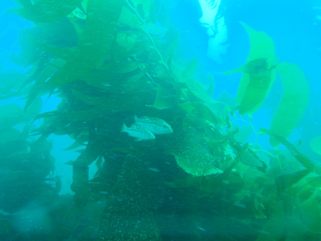 sm_AR-P8213436.JPG