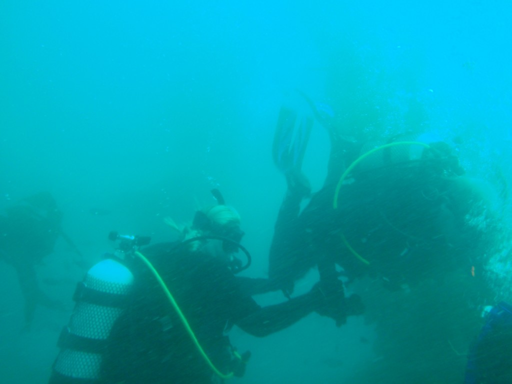 sm_AR-P8213437.JPG