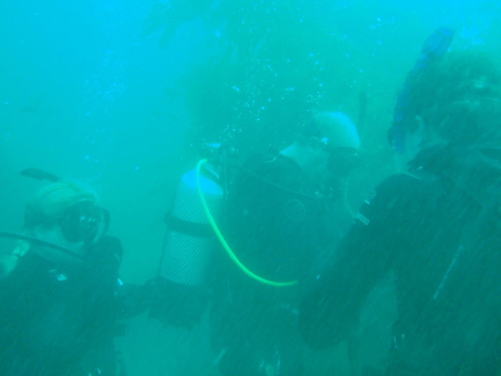 sm_AR-P8213438.JPG
