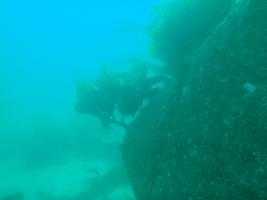 sm_AR-P8213439.JPG