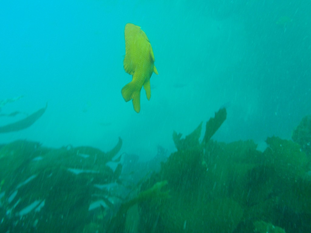 sm_AR-P8213448.JPG